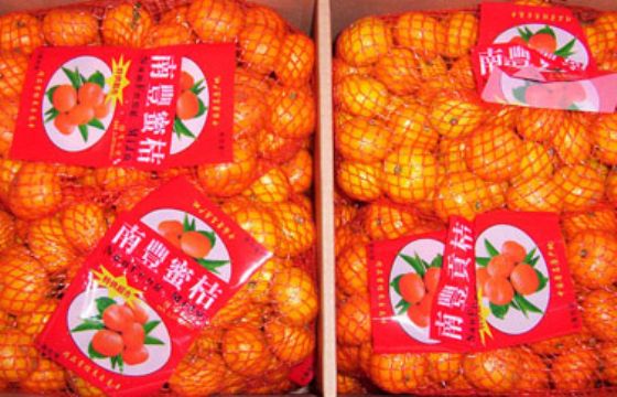 Nanfeng Orange